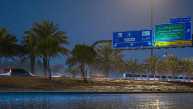 Saudi Arabia's weather forecast for today, Sunday: Thunderstorms, fog, and weather warnings