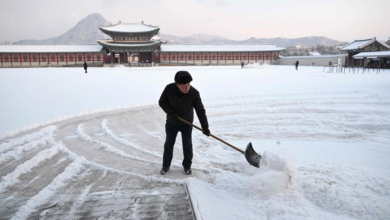 عاصفة ثلجية تضرب كوريا الجنوبية وتلغي 163 رحلة جوية
