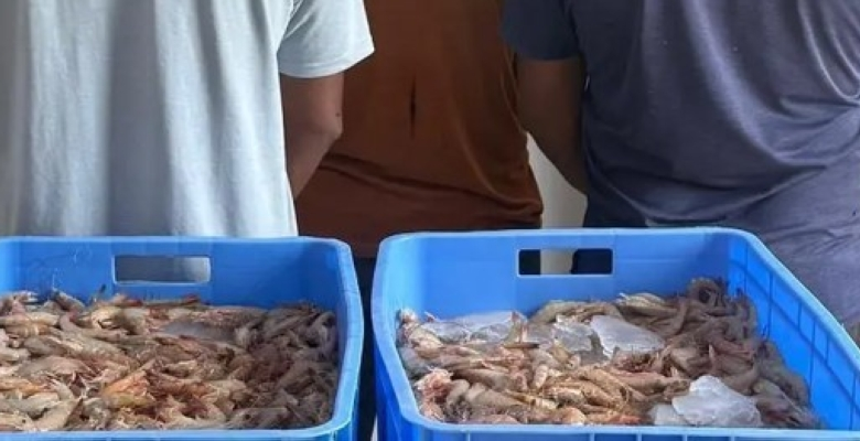 Five people were arrested for hunting without a permit in Al-Qunfudhah, Makkah