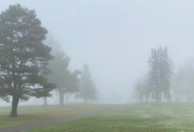 Saudi Arabia weather: Light fog in 6 regions and weather alerts