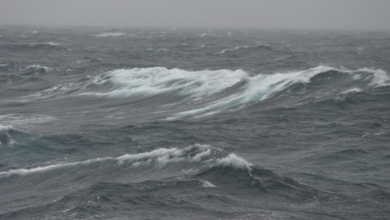 Today's weather: Active winds and dense fog across parts of the Kingdom