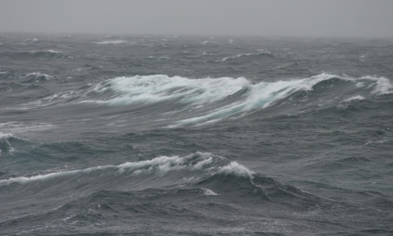 حالة الطقس اليوم: رياح نشطة وضباب كثيف على مناطق المملكة