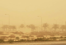 Today's weather: Winds, dust, and fog hit 7 regions in Saudi Arabia