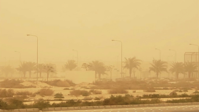 Today's weather: Winds, dust, and fog hit 7 regions in Saudi Arabia