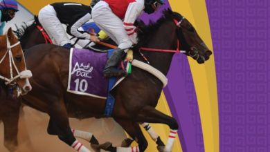 فعاليات ميدان الفروسية بحائل 2025: ترفيه وتراث يدعم السياحة