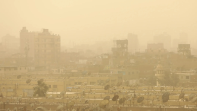 طقس الأربعاء: أتربة ورياح نشطة بالرياض والشرقية