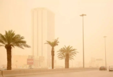 The Meteorology Department warns of active winds and reduced visibility in Hail and Tabuk