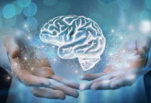 Study: The length of the index and ring fingers is an indicator of brain size