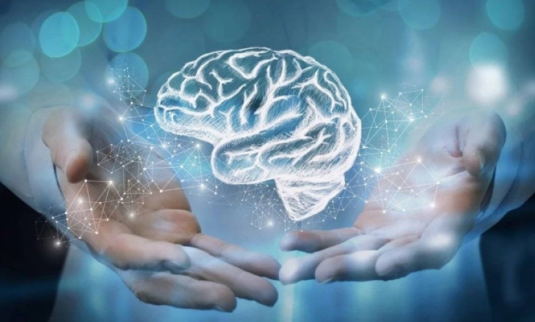 دراسة: طول إصبعي السبابة والبنصر مؤشر لحجم الدماغ