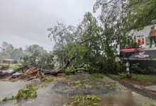 إعصار جيزاني في مدغشقر: 20 قتيلاً ورياح عاتية