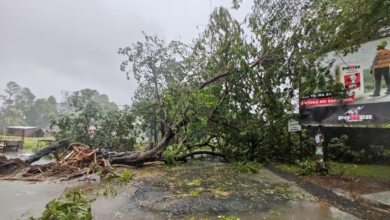 إعصار جيزاني في مدغشقر: 20 قتيلاً ورياح عاتية