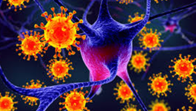 الصحة العالمية: خطر تفشي فيروس نيباه منخفض رغم إصابات الهند