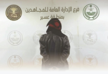 A citizen was arrested in Asir for transporting 17 illegal immigrants: Penalties under the Border Security Law