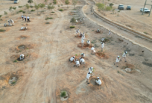 الكشافة السعودية تطلق برنامج حماية البيئة بمنتزه الملك سلمان