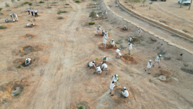Saudi Scouts launch environmental protection program at King Salman Park