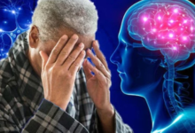 Preventing Alzheimer's: Reading and learning delay the disease by 5 years