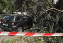 العاصفة نيلز تضرب فرنسا: قتيل وانقطاع الكهرباء عن 900 ألف منزل