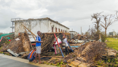 The death toll from Cyclone Gizani in Madagascar has risen to 36