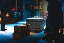 زاتكا تضبط 1455 حالة تهريب مخدرات وأسلحة خلال أسبوع