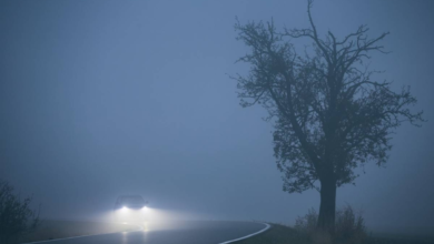 طقس السعودية: ضباب وأتربة على 3 مناطق وتحذيرات عاجلة