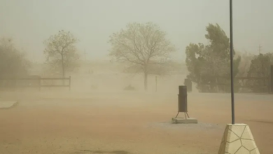 The Meteorology Department warns of dust storms and strong winds in Riyadh and the Eastern Province