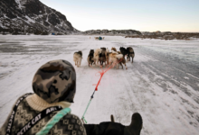 غرينلاند تسجل أدفأ يناير في تاريخها.. أرقام قياسية صادمة