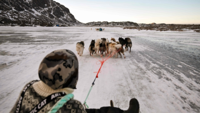 غرينلاند تسجل أدفأ يناير في تاريخها.. أرقام قياسية صادمة