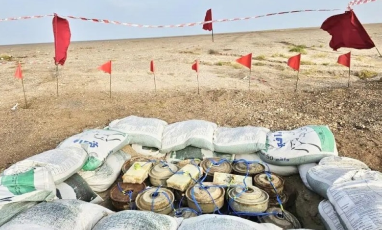 مسام ينتزع 840 لغماً باليمن في أسبوع وحصيلة المشروع تتجاوز 541 ألفاً