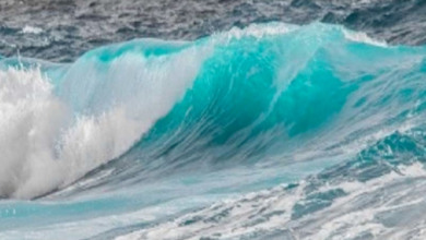 طقس السعودية: رياح وأتربة ونهاية الشتاء قريباً