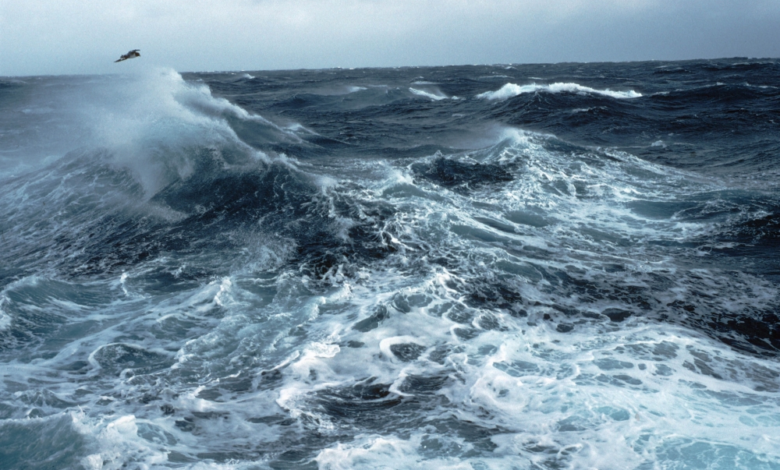 طقس أول أيام رمضان في السعودية: أمطار ورياح مثيرة للأتربة