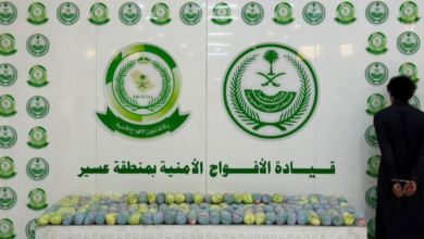 القبض على مروج قات في عسير.. تفاصيل إحباط تهريب 33 كجم