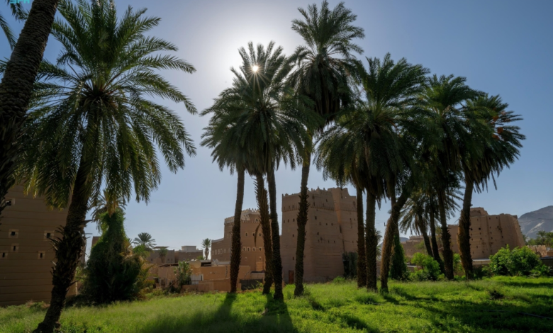 Najran dates in Ramadan: "Al-Bayadh" and "Al-Mawakil" are symbols of generosity and abundance