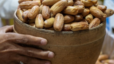 تمور السعودية في رمضان: قيمة غذائية وإرث يدعم الاقتصاد