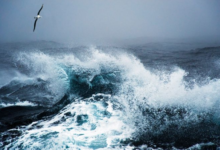 طقس السعودية: رياح وأتربة على 7 مناطق وتحذيرات الأرصاد