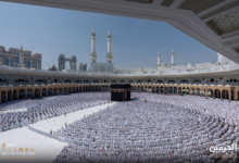 The Two Holy Mosques Affairs: 8,000 vehicles to serve pilgrims and Umrah performers at the Grand Mosque