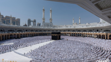 The Two Holy Mosques Affairs: 8,000 vehicles to serve pilgrims and Umrah performers at the Grand Mosque