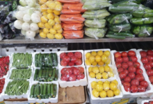 استقرار أسعار الخضروات برمضان بفضل التقنيات الزراعية الحديثة