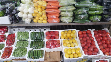 استقرار أسعار الخضروات برمضان بفضل التقنيات الزراعية الحديثة