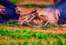 ضبط مخالف أتلف الغطاء النباتي بمحمية الأمير محمد بن سلمان