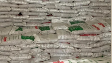 King Salman Relief Center launches food basket project in several countries