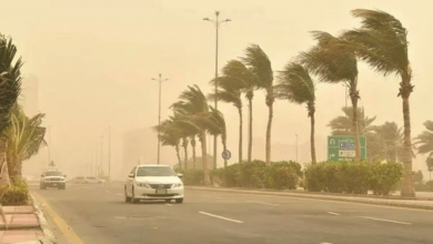 طقس الجوف: تحذير من رياح شديدة وأتربة حتى مساء السبت