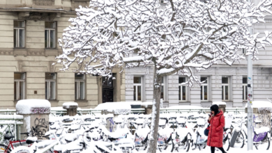 A snowstorm in Austria leaves 5 dead and disrupts life