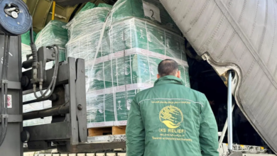 الطائرة الإغاثية السعودية 81 تصل مصر لدعم غزة