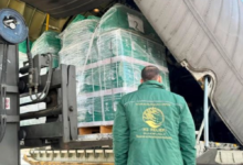 الطائرة الإغاثية السعودية 81 تصل العريش لدعم غزة | أخبار السعودية