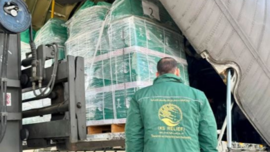 الطائرة الإغاثية السعودية 81 تصل العريش لدعم غزة | أخبار السعودية