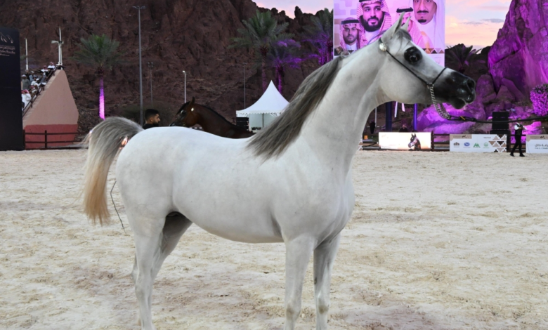 الخيل العربية: رمز التراث وإلهام الفن والشعر العربي