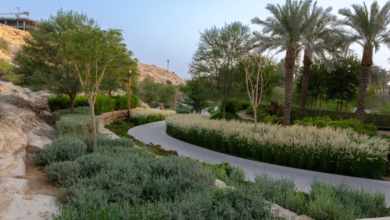 وادي حنيفة: مهد الدولة السعودية الأولى وعاصمتها التاريخية