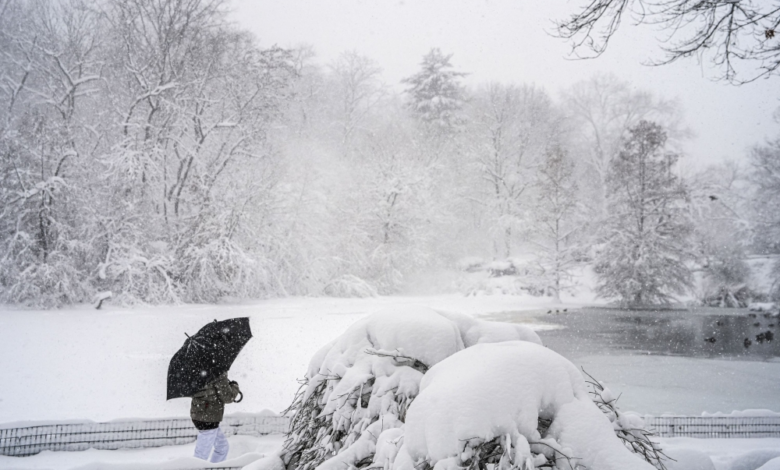 عاصفة ثلجية تضرب نيويورك: طوارئ وحظر تنقل شامل