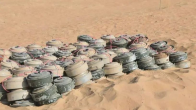 مسام يزيل أكثر من 2600 لغم في اليمن ويعزز أمان المدنيين