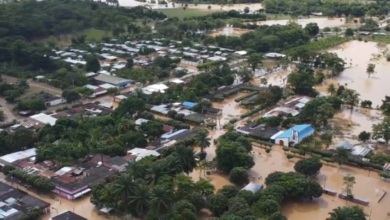 Brazil floods: 14 dead in catastrophic rains in Minas Gerais state
